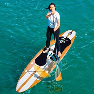 fayean-active-110-2022-sapbord-2.webp
